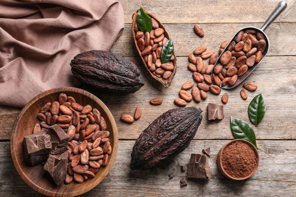 Assortment of cocoa beans, chocolate and raw cacao. 