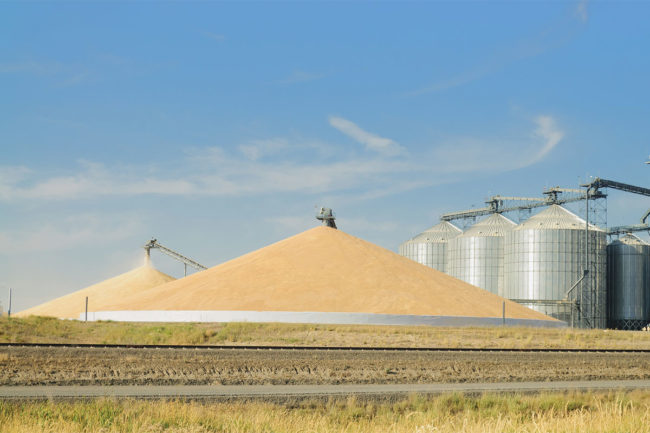 Wide shot of assortment of grain silos. 