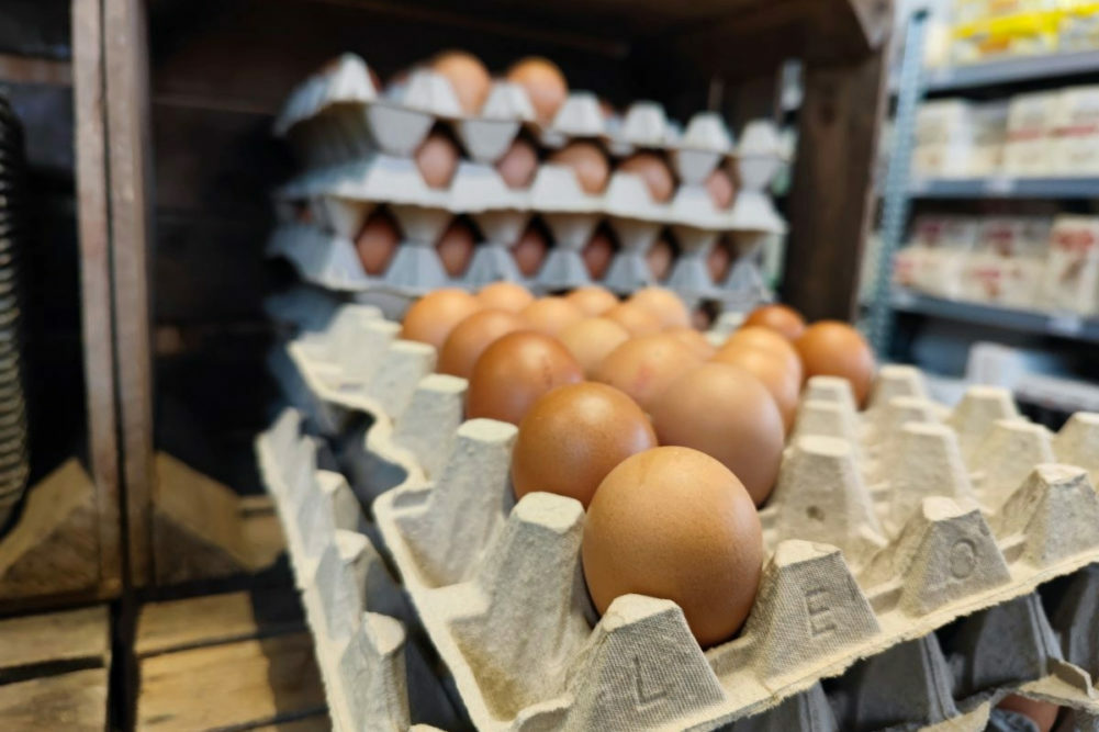 Large carton of brown eggs.