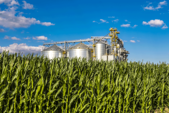 Grain silo on sunny day. 