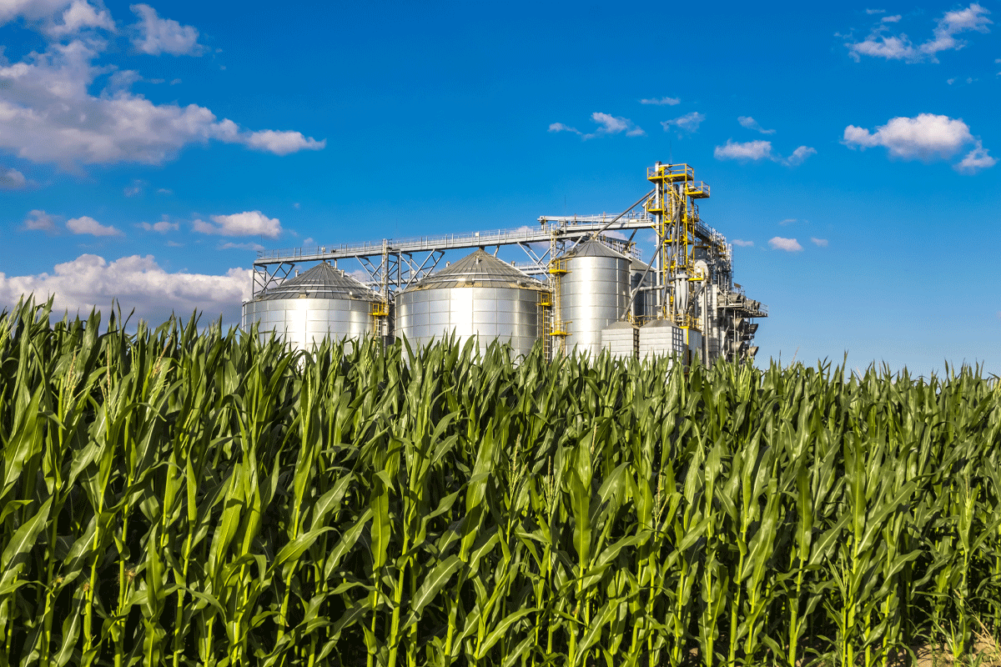 Grain silo on sunny day. 