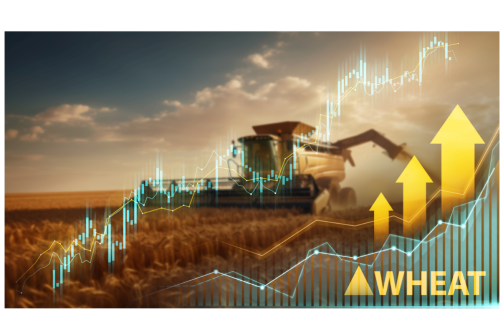 Wheat chart. 