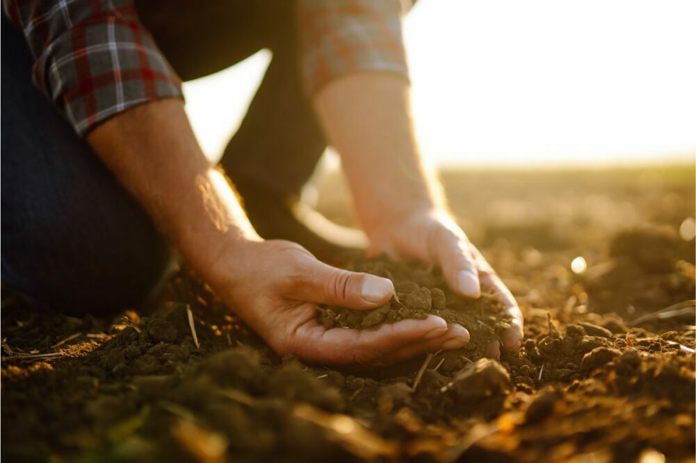 Farmer places hands in soil. 