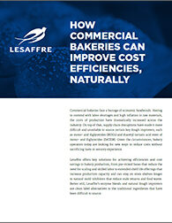 Lesaffre_whitepaper_ImproveCostEfficiencies_May2024.jpg