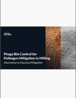 Lesaffre_whitepaper_PhageBiocontrol_May2024.jpg