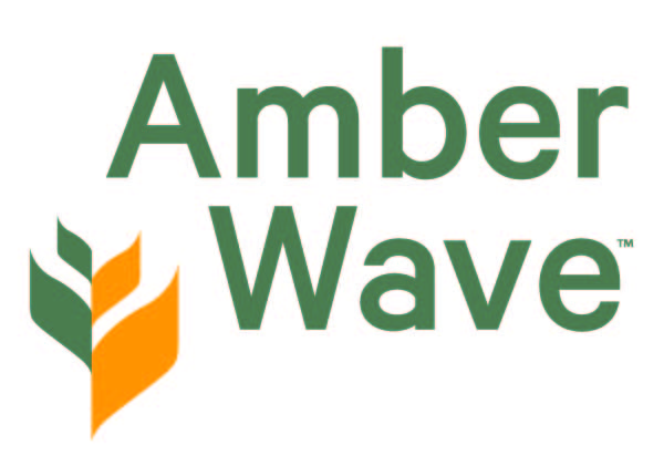 2024_AmberWave_Logo.jpg